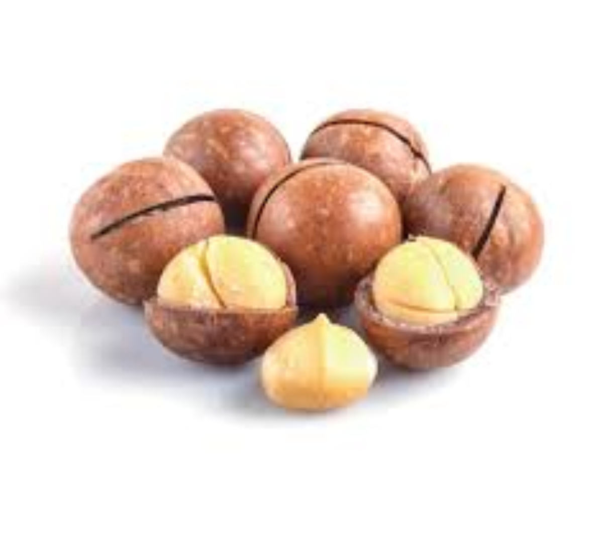 FRESH ROASTED MACADAMIA 250G